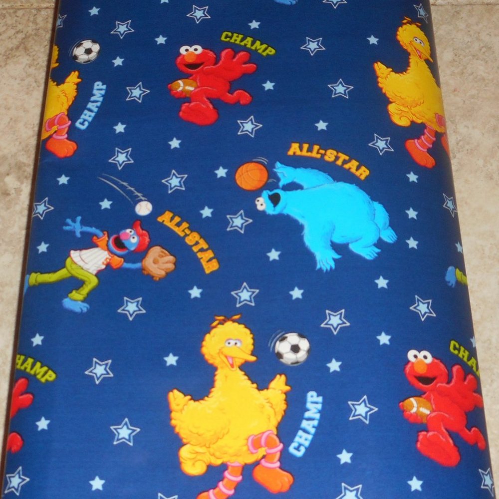SESAME STREET All Star Champ WRAPPING PAPER ROLL